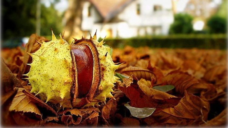 18 сентября - какой сегодня праздник 