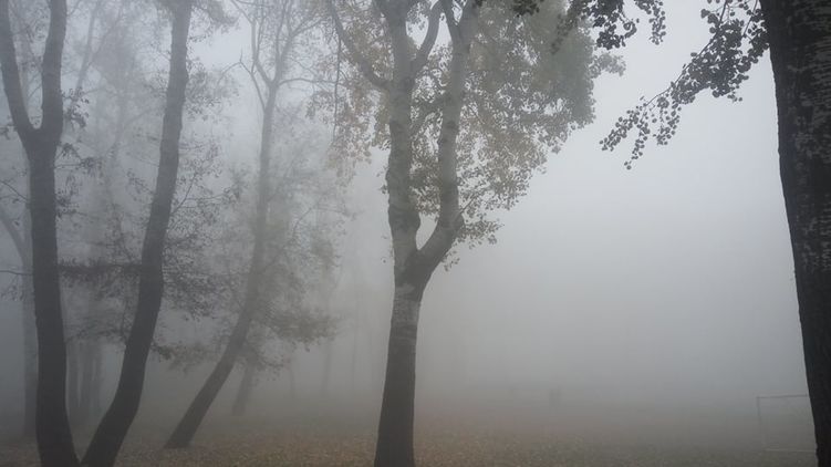 Туман усугубил ситуацию со смогом в Украине