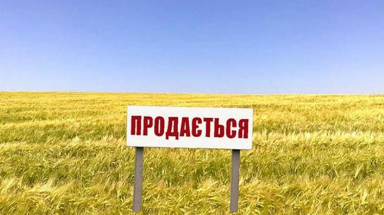 Эксперты считают, что продажа земли в Украине явно не ко времени, фото: from-ua.com