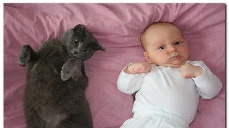 Ребенок и кот в доме. Обычно они становятся лучшими друзьями. Заставочное фото из открытых источников