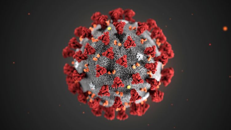 Один больной коронавирусом может заразить до 25 человек, а дальше все идет в геометрической прогрессии. Фото из открытых источников