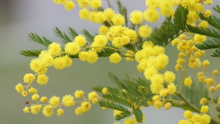 Гороскоп на сегодня