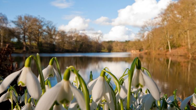 Гороскоп на 13.03.20 - что звезды приготовили для каждого знака Зодиака