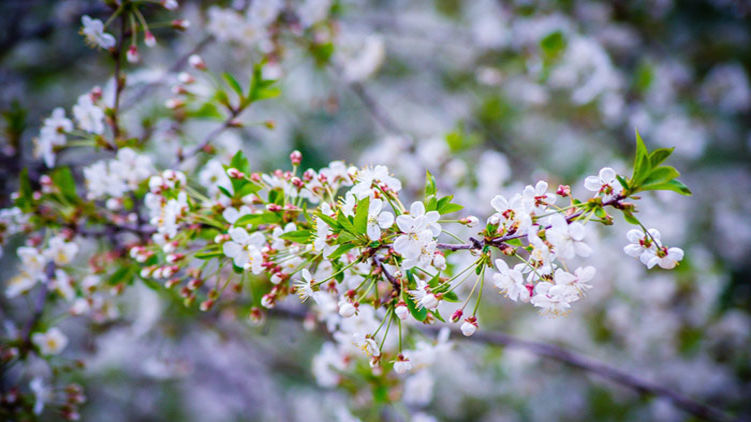 Гороскоп на сегодня, 20 марта 2020 года для всех знаков Зодиака