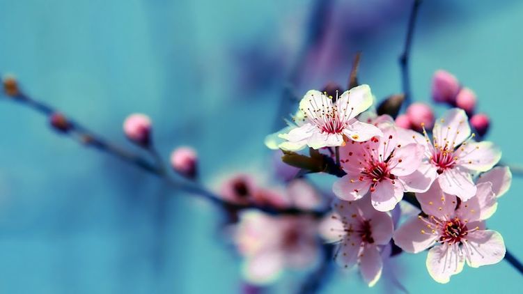 Гороскоп на 10 апреля 2020