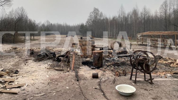 Пожары нанесли серьезный урон Житомирской области. Фото: Страна