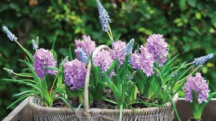 Гороскоп на 21 апреля 2020 года