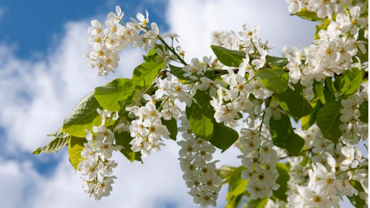 Гороскоп на 28 апреля 2020 года