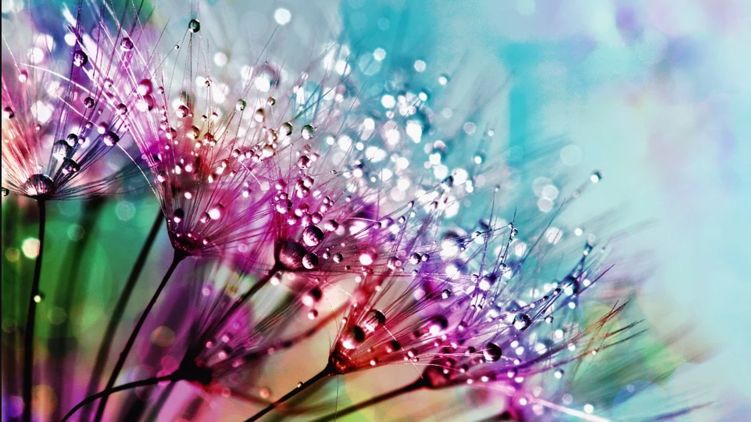 Гороскоп на 28 мая 2020 года для всех знаков Зодиака. Фото: pixabay