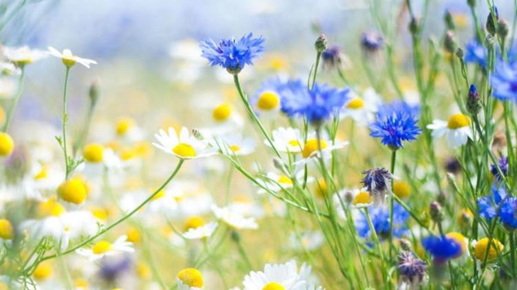 Гороскоп на 9 июня 2020