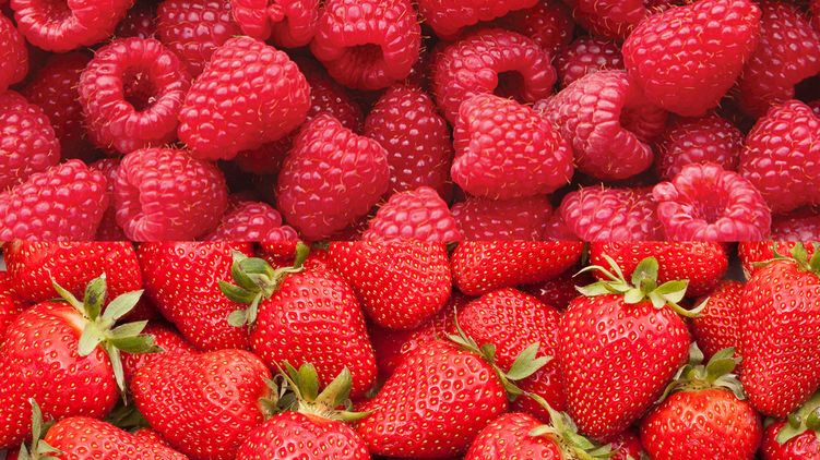 Малина и клубника - вкусные летние ягоды. Фото с сайта ehrmann