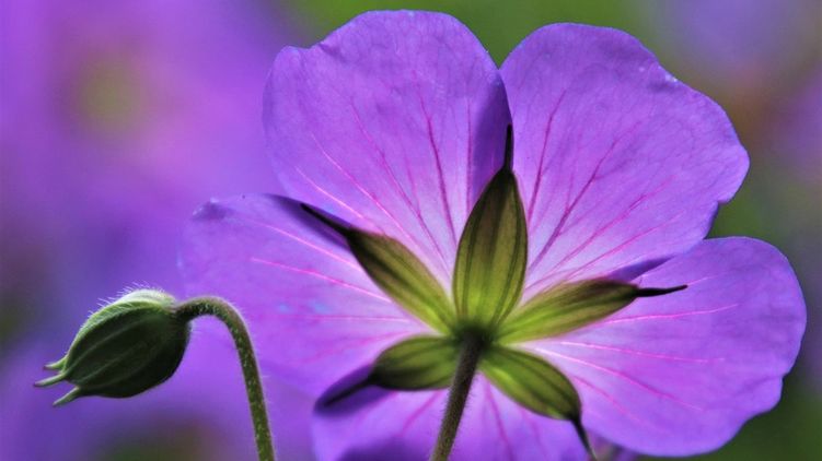 Гороскоп на 9 июля 2020 для каждого знака Зодиака