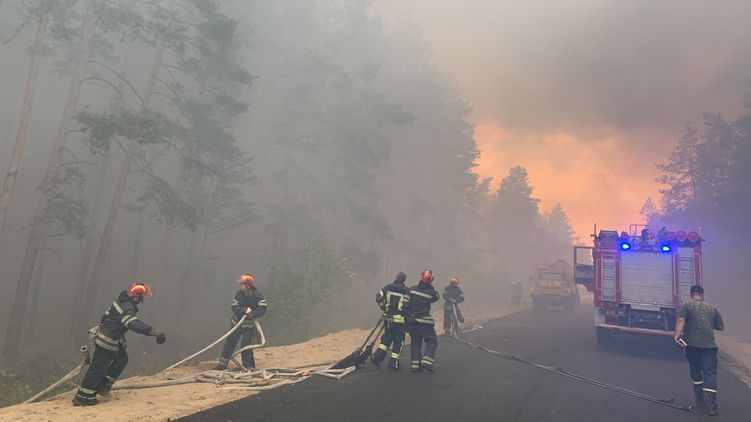 В Луганской области бушуют лесные пожары. Фото: ГосЧС