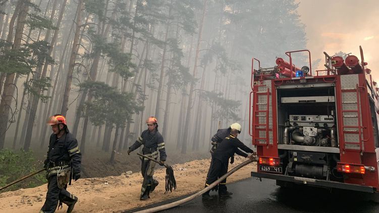 В Луганской области бушуют лесные пожары. Фото: ГСЧС