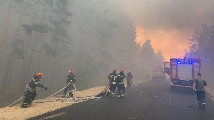 Пожары в Луганской области попросили признать ЧС государственного масштаба, фото: ГСЧС