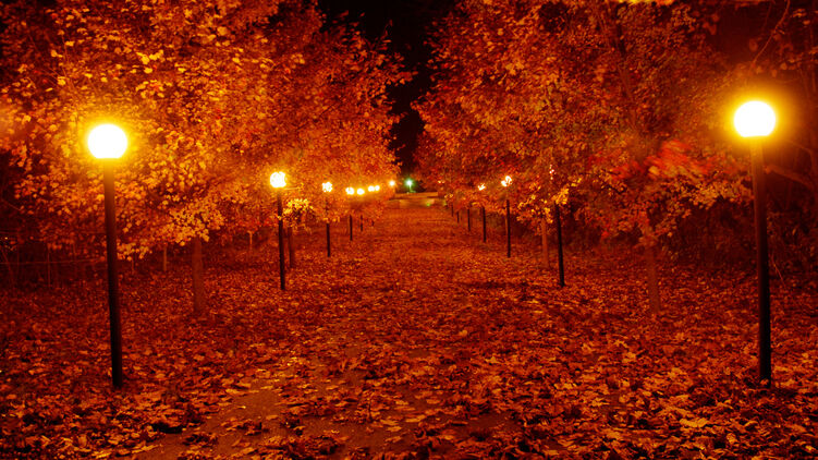 Осенний парк. Фото сайта pikabu