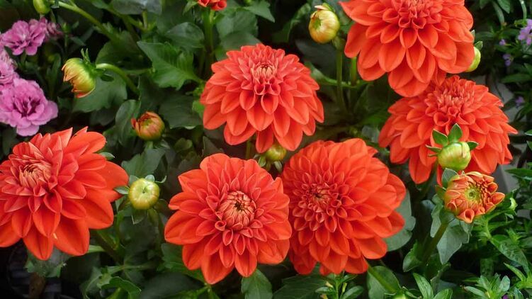 Именины Артема отмечают 2 ноября