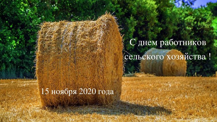 15 ноября 2020 года в Украине отмечается день работника сельского хозяйства