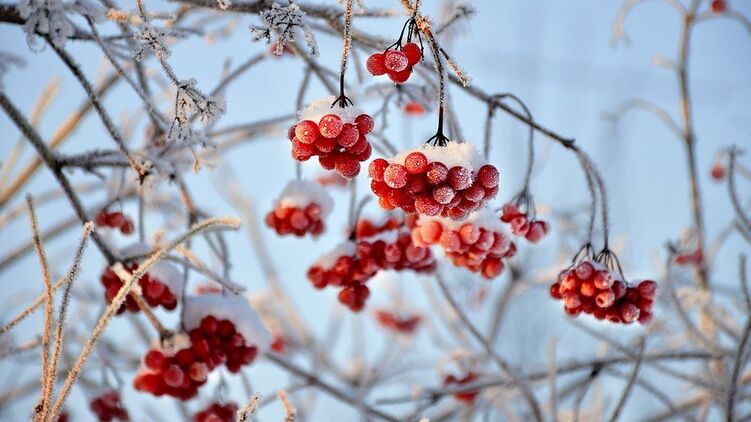 Зима. Фото с сайта pixabay.com