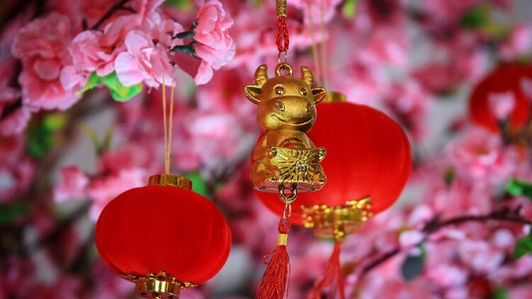 Китайский новый год отмечают 12 февраля. Фото: pixabay