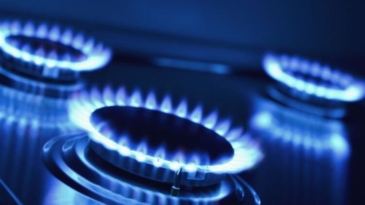 Заявление Витренко о цене на газ вряд ли придется по душе МВФ. Фото: kagarlyk.city