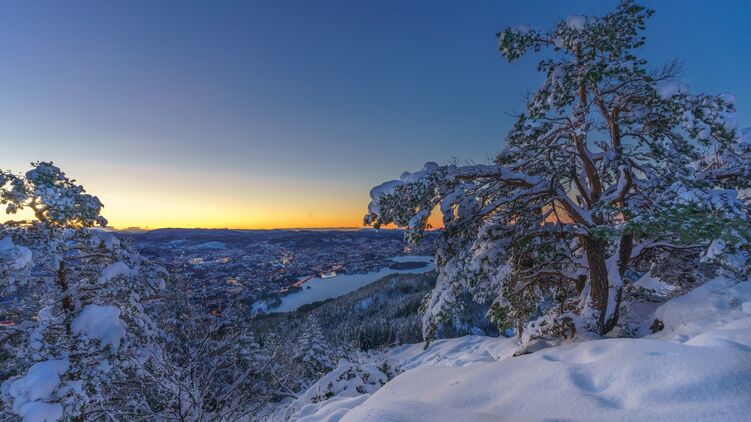 Прогноз на 27 февраля. Фото: Goodfone