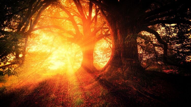 Что принесет знакам Зодиака среда 17 марта. Фото: pixabay