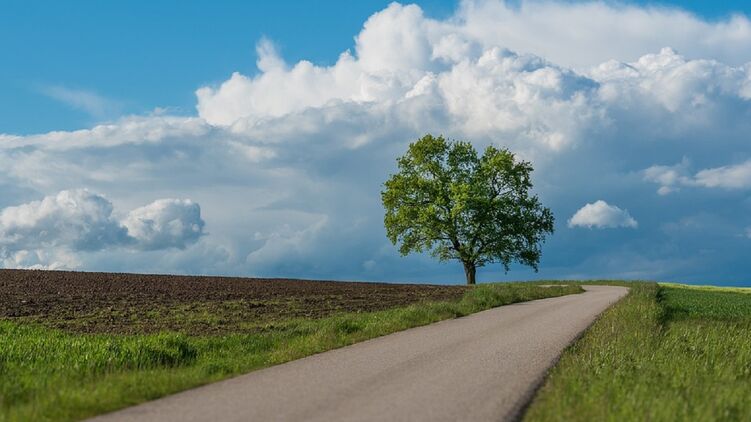 Гороскоп на эту неделю для всех знаков Зодиака. Фото: pixabay