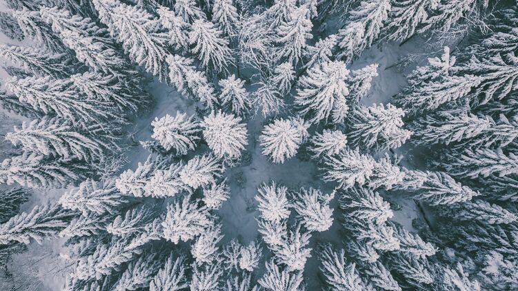 Сегодня первый день зимы