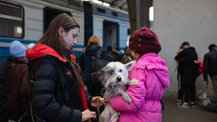 За время войны поездами Укрзализныци эвакуировали 100 тысяч животных