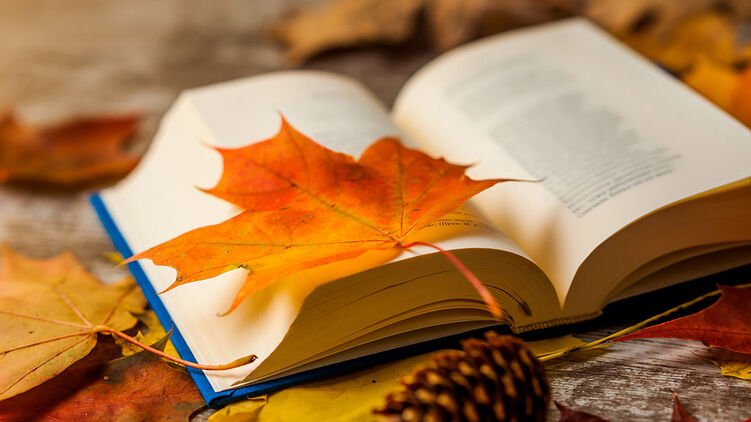 С первым днем осени 2023 года