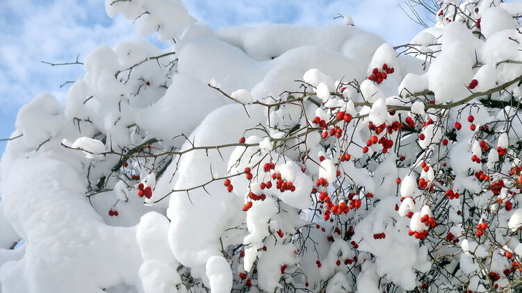 В Украине сегодня первый день зимы