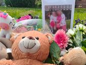 "Ще й собака зарізана". Що відомо про вбивство українки та її дочки в Бельгії, в якому зізнався її син