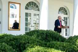 Качели Трампа - 2