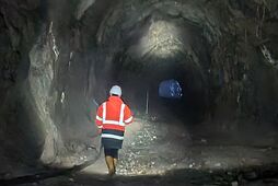 Україні дістанеться менше 2%. Як і на яких умовах друзі Трампа почали отримувати родовища