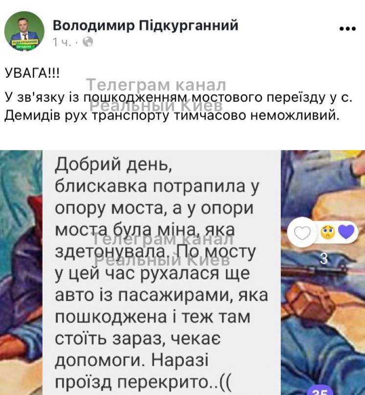 Скриншот из Фейсбука Владимир Подкурганный