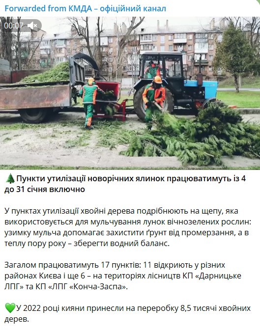 утилизация елок в Киеве