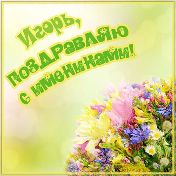 Открытки с днем Игоря прикольные