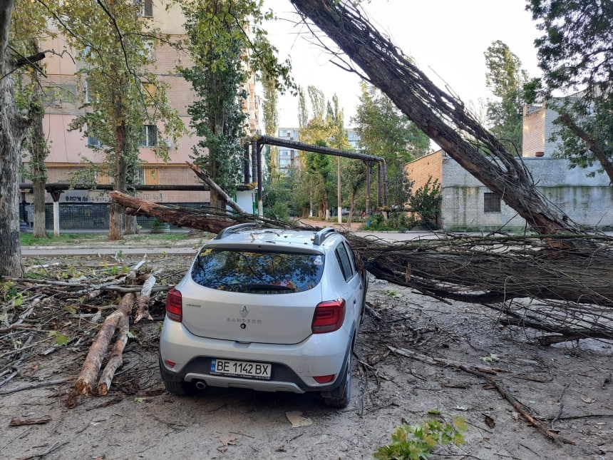 В Николаеве на авто упало дерево