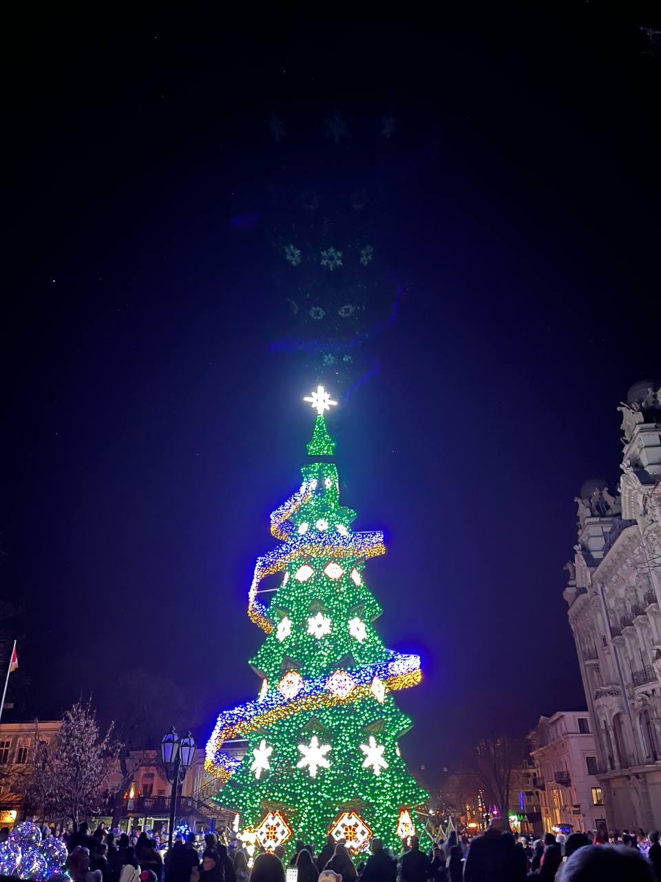 В Одессе открыли новогоднюю елку