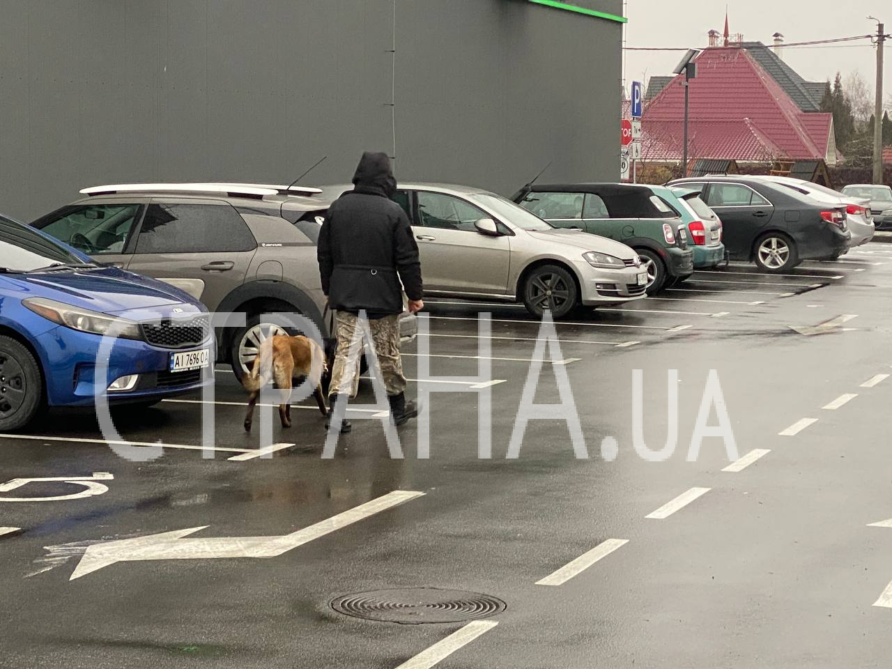 Люди с собаками проверяют парковку супермаркета на Софиевской Борщаговке