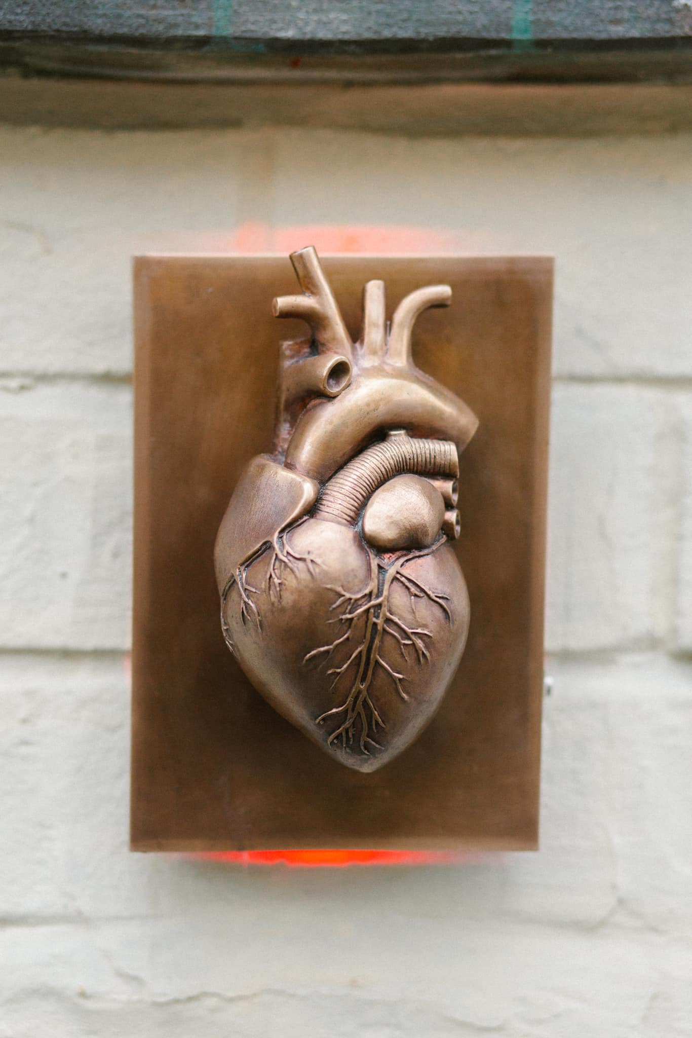 В Киеве появилось бронзовое сердце в честь хирурга Николая Амосова