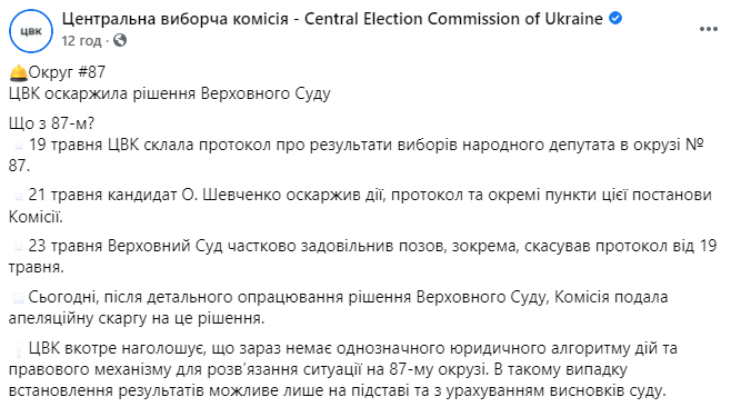 Выборы в округе №87 - ЦИК подала аппелляцию