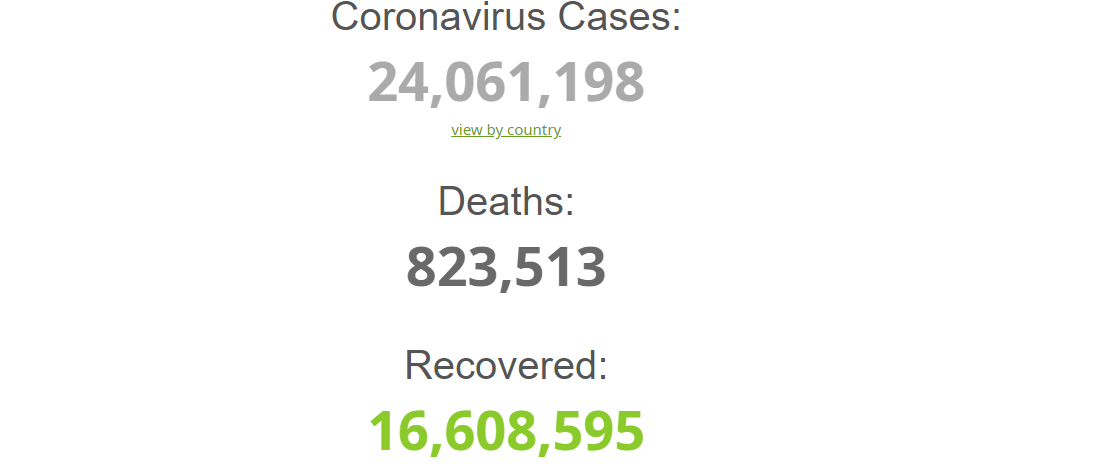 По состоянию на 26 августа в мире уже 24 061 198 зараженных коронавирусом