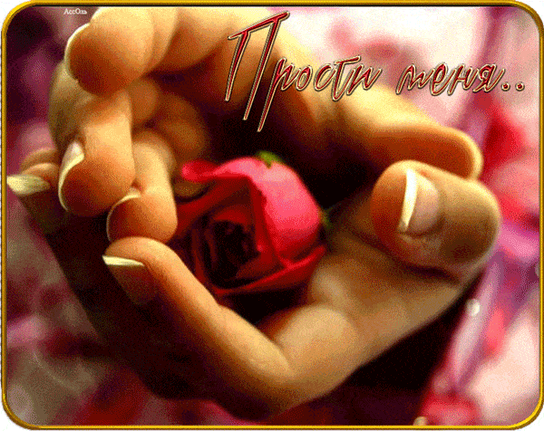 Прости меня картинки