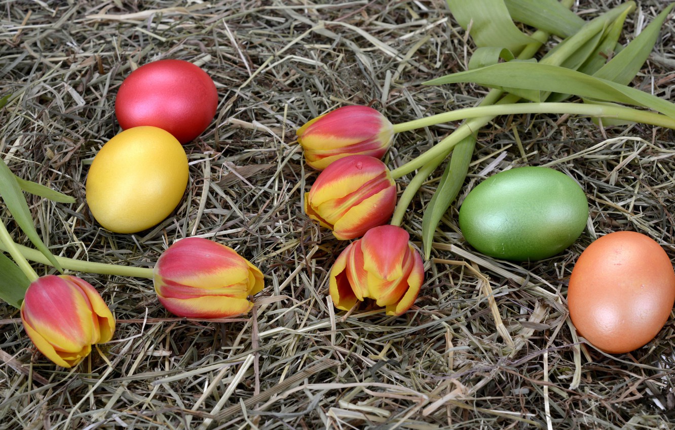 Почему красят яйца на Пасху