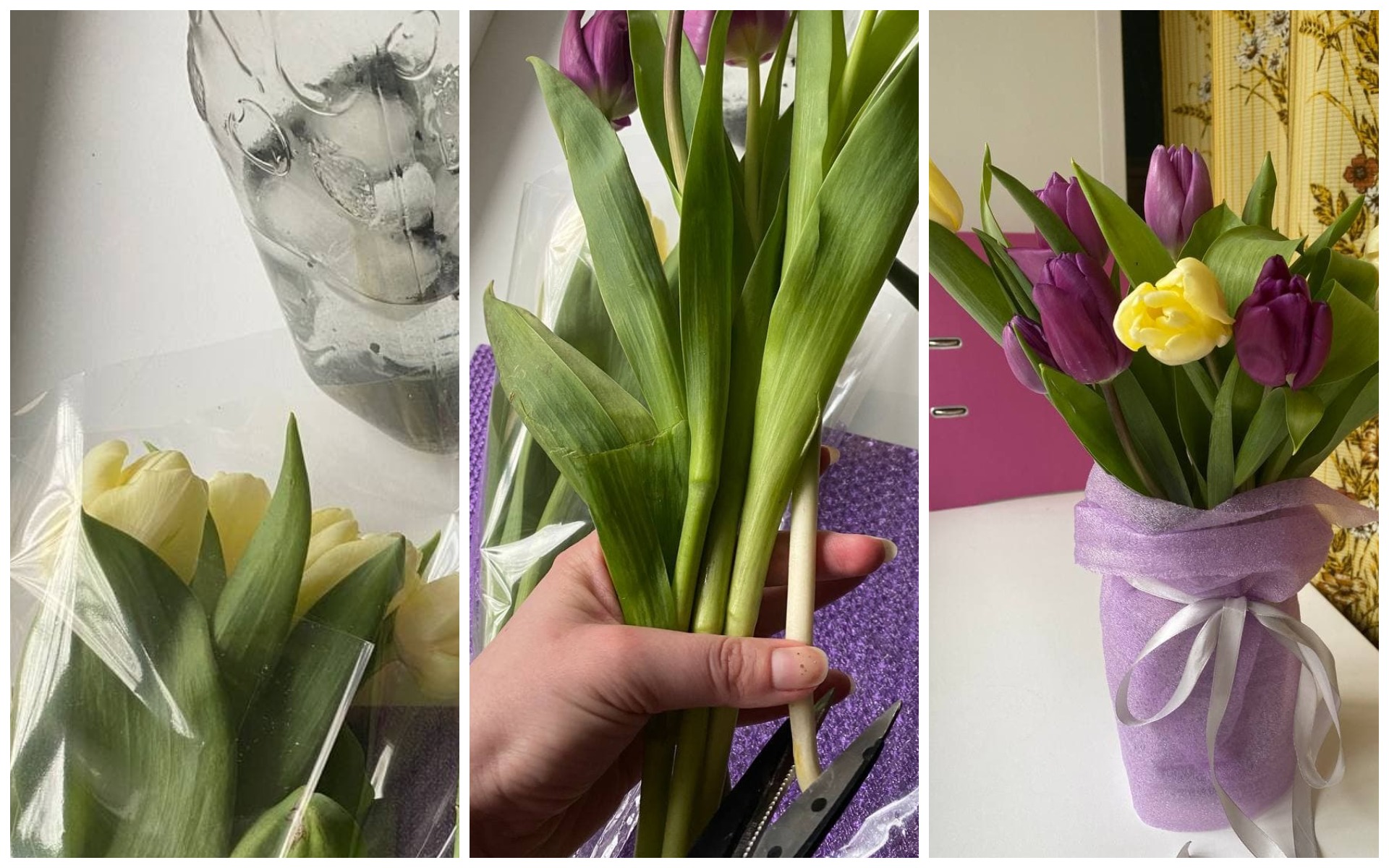 как сохранить тюльпаны в вазе, фото Страны