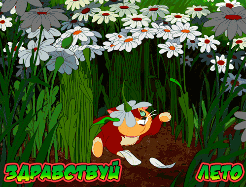 гиф с 1 июня