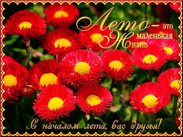 анимированная открытка с первым днем лета