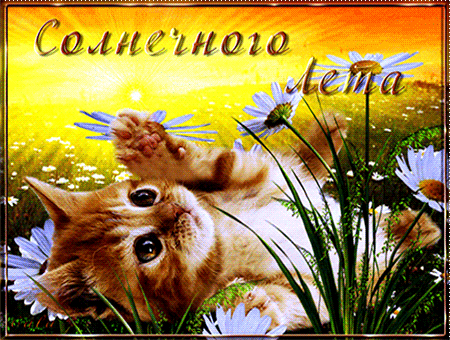 анимированная открытка с первым днем лета